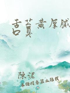 舌苔黄厚腻口苦口臭