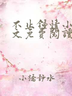 不止钟情小说全文免费阅读