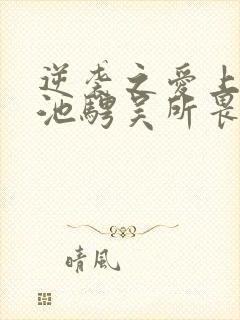 逆袭之爱上情敌池骋吴所畏小说免费全集