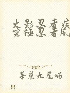 火影忍者疾风传究极忍者风暴4