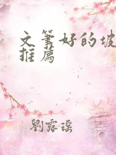 文笔好的坡坡文推荐