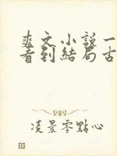 爽文小说一口气看到结局古言