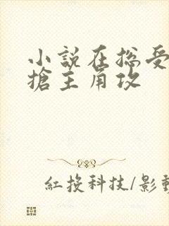 小说在总受文里抢主角攻