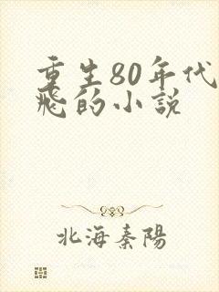 重生80年代秦飞的小说