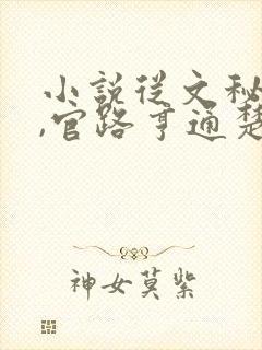 小说从文秘开始,官路亨通楚东恒免费阅读