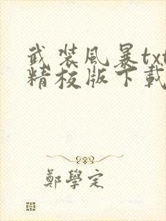 武装风暴txt精校版下载