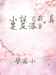 小说《我真的不是反派》