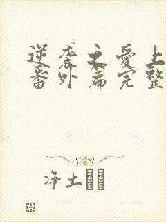 逆袭之爱上情敌番外篇完整版