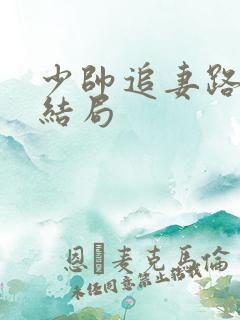 少帅追妻路漫漫结局
