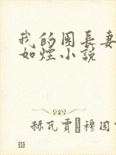 我的团长妻子柳如烟小说