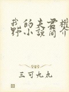 我的夫君权倾朝野小说简介