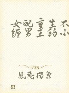 女配重生不再纠缠男主的小说