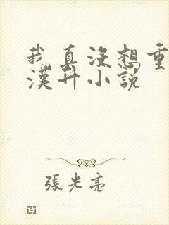 我真没想重生陈汉升小说