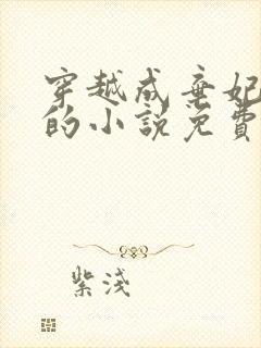 穿越成弃妃萧王的小说免费阅读