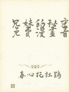 兄妹的秘密授课免费漫画看