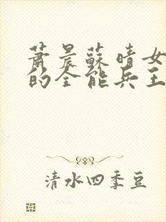 萧晨苏晴女总裁的全能兵王