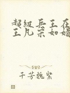 超级兵王在都市王凡宋如媚