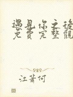 遇见你之后短剧免费完整观看高清