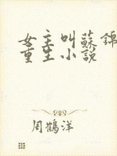 女主叫苏锦瑶的重生小说