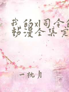 我的xl司令的动漫全集完整在线观看