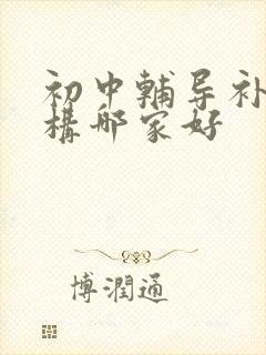 初中辅导补习机构哪家好