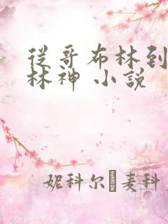 从哥布林到哥布林神 小说