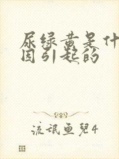 尿绿黄是什么原因引起的