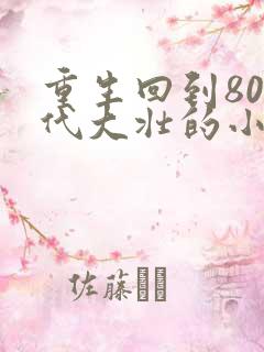 重生回到80年代大壮的小说