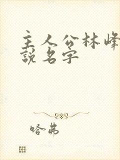 主人公林峰的小说名字