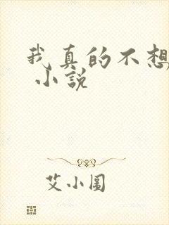 我真的不想穿越 小说