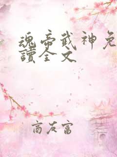 魂帝武神免费阅读全文