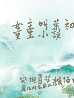 女主叫叶初夏的重生小说