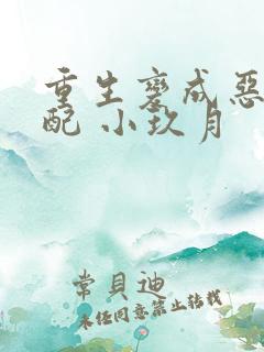 重生变成恶毒女配 小玖月