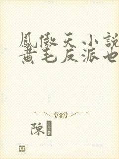 凤傲天小说里的黄毛反派也想要幸福