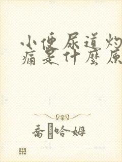 小便尿道灼热刺痛是什么原因