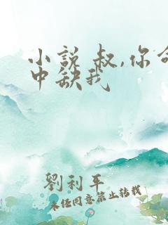 小说 叔,你命中缺我