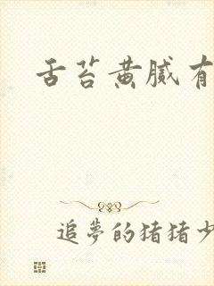 舌苔黄腻有齿痕