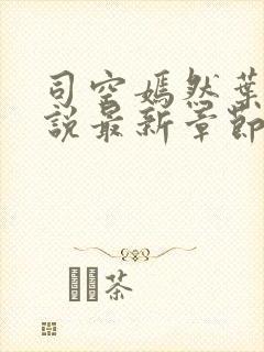 司空嫣然叶凡小说最新章节阅读