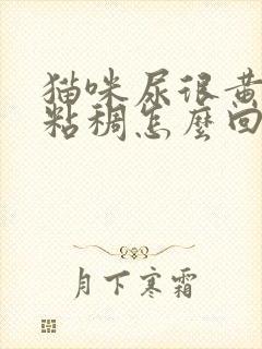 猫咪尿很黄有点粘稠怎么回事