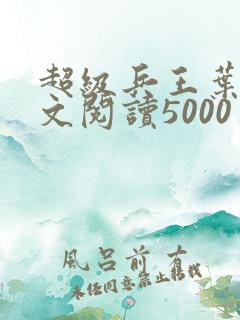 超级兵王叶谦全文阅读5000