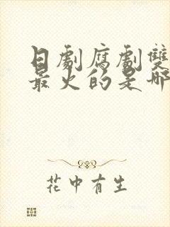 日剧腐剧双男主最火的是哪部剧