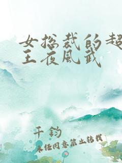 女总裁的超级兵王夜风武
