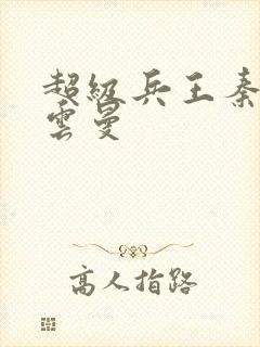 超级兵王秦渊叶云曼