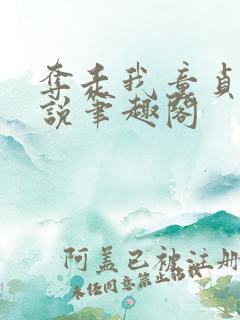 夺走我童贞的小说笔趣阁