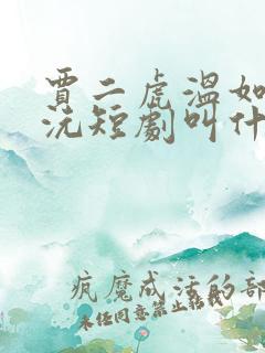 贾二虎温如玉小沅短剧叫什么