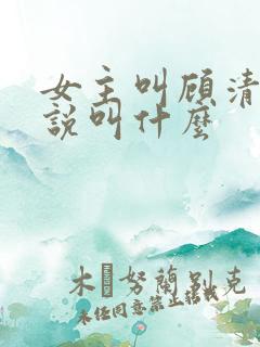 女主叫顾清的小说叫什么