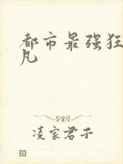 都市最强狂兵叶凡