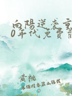 向阳逆袭重生60年代免费观看