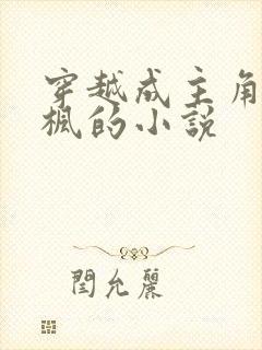 穿越成主角叫叶枫的小说