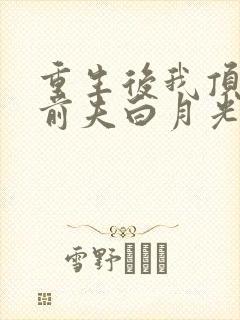 重生后我顶替了前夫白月光小说版